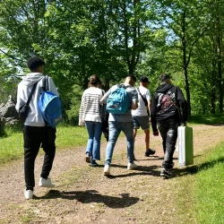 tiempo libre de ocio saludable